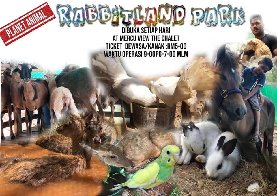RABBITLAND